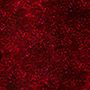 Burgundy Frost
