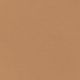 CSWSC09 Medium Olive