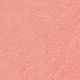 Desert Rose