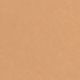 107 Golden Beige