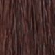 5.0 Light Chestnut