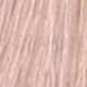 10.01 Natural Blonde Platinum Ash