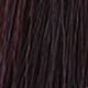 4.2 Chestnut Violet