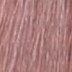 8.2 Light Blonde Violet