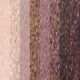 Rose Nudes