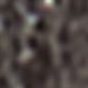002 Grey Brown