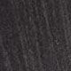 20 Black Tulip
