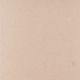NO15 Nude Warm