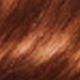 7/7 Deer Brown