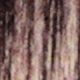 4N Dark brown