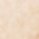 Cream Beige