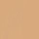 113 Medium Beige