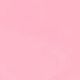 Creamy Rose