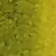 C03