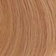 8.3 Biondo Chiaro Dorato/Light Blonde Golden