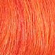 Booster Rame/Copper Booster/Booster Cobr