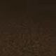 533 Coffee Bean