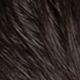 02 Dark Brown