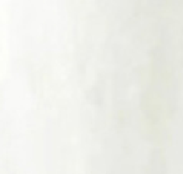 PEARL WHITE