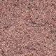 Cocoa