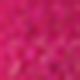 C02