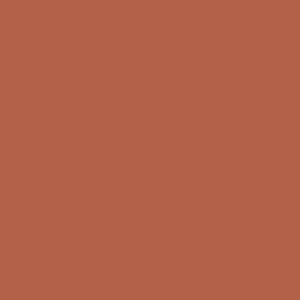 T196296 - 10 Nude Lines