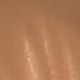 Brown Sugar