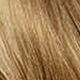 8/1 Light Ash Blonde