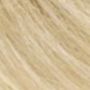 12/1 Very Light Ash Blonde