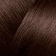 17 Chocolate Brown