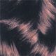 38 Chestnut Brown