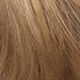 7.1 Blond