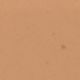 03 Warm Beige