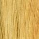 7.0 Blond