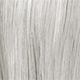 10.1 Silver Blond