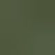 70 Olive