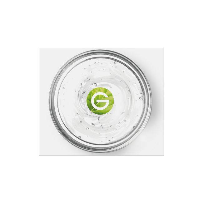 GARNIER SKIN NATURALS HYALURONIC ALOE JELLY gelinis drėkiklis, 50 ml
