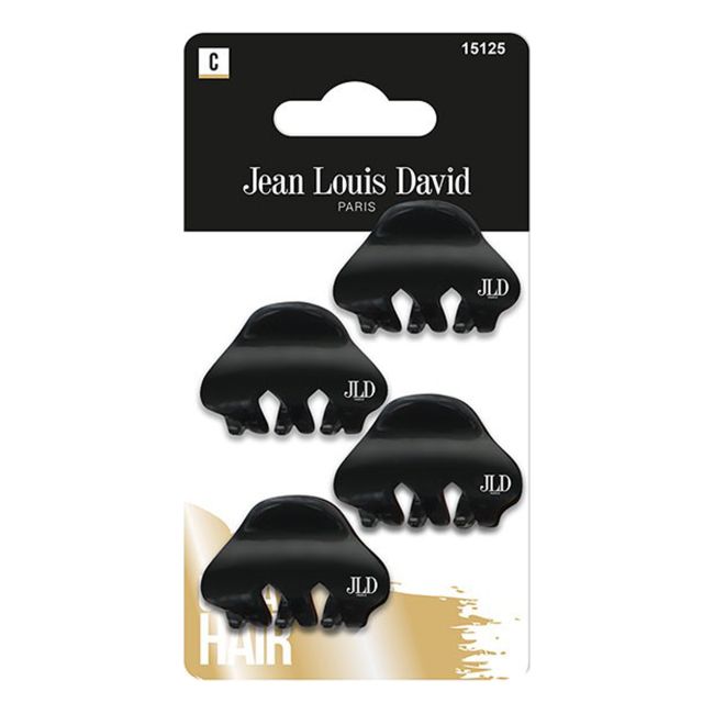 JEAN LOUIS DAVID plaukų segtukai - žnyplės (4 vnt.)