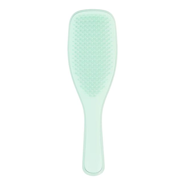 TANGLE TEEZER DETANGLING FINE & FRAGILE plaukų šepetys
