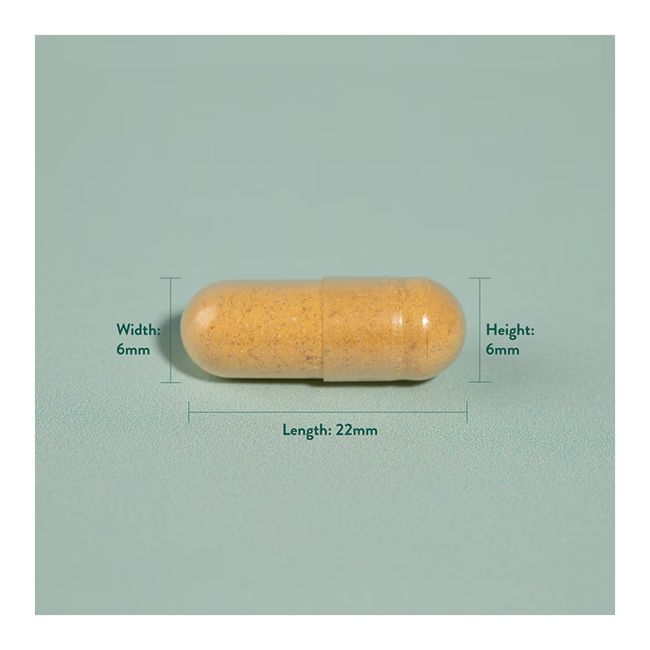 H&B Ciberžolė 500 MG, 90 kapsulių
