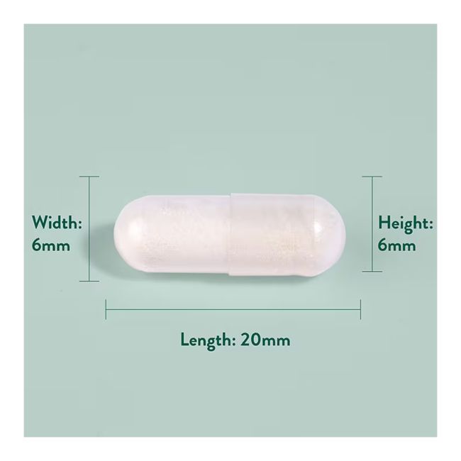 PE NUTRITION L Argininas 500 MG, 50 kapsulių