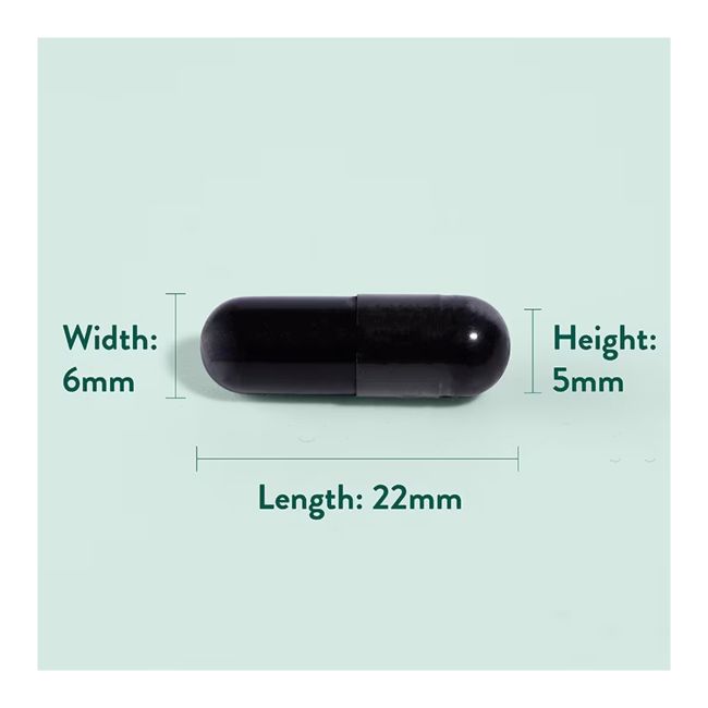 H&B Aktyvuota anglis 1560 MG, 120 kapsulių