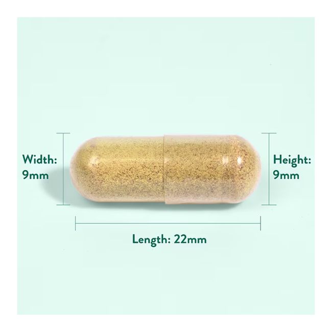 H&B EXPERT IMMUNITY HIGH STRENGTH TRIPLE ACTION IMMUNE, imunitetui, 60 kaps.