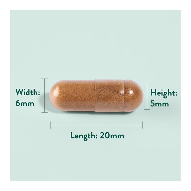 H&B artišokų ekstraktas 350 mg, 60 kapsulių