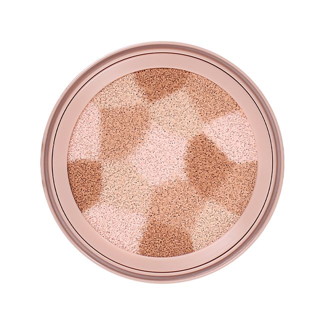 ELROEL BLENDING COMPACT CUSHION kompaktinė daugiafunkcė pudra, 12,5 g