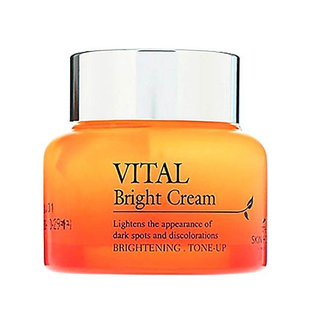 THE SKIN HOUSE VITAL BRIGHT veido kremas, 50 ml