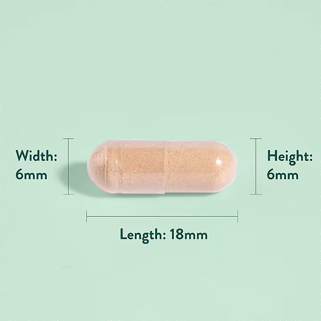 H&B PYCNOGENOL® jūrinės pušies žievės ekstraktas 30 mg ir citrusinių vaisių bioflavonoidai, 60 kap.