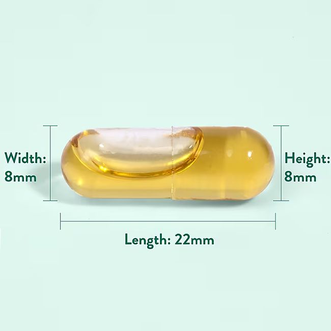 H&B juodųjų sėklų aliejus ir vitaminas D, 60 kapsulių