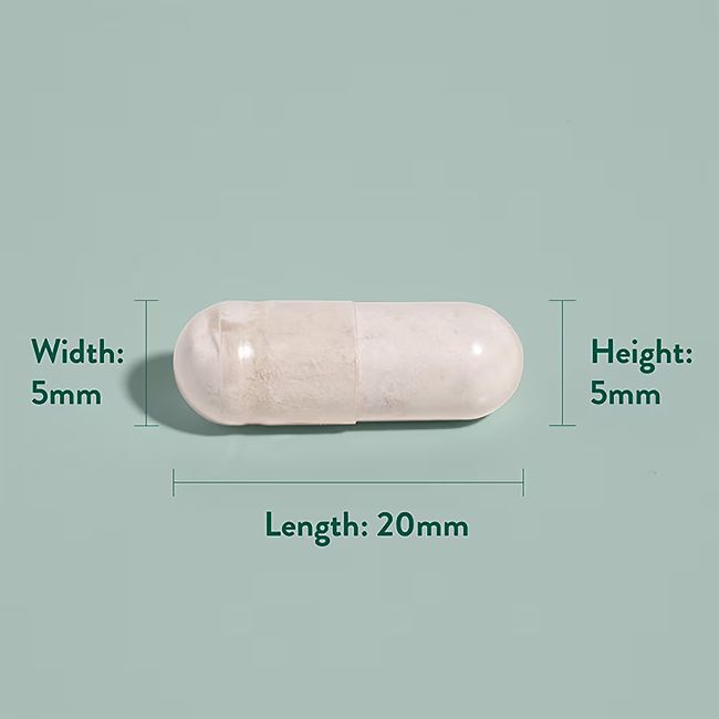 H&B geležis 20 mg, 90 kapsulių