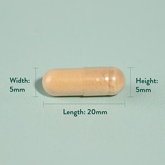 H&B pieno erškėtis 100 mg, 60 kapsulių